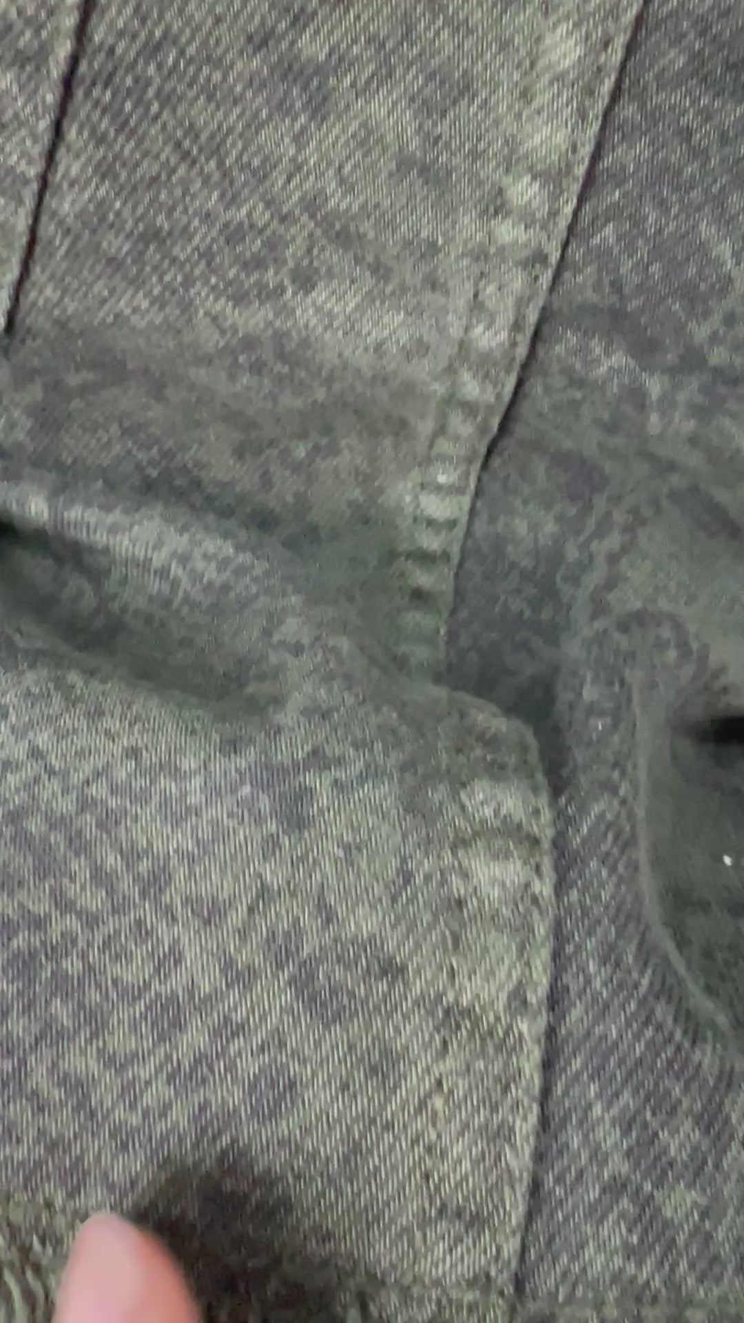 Saia Hollister - tam (P\36)