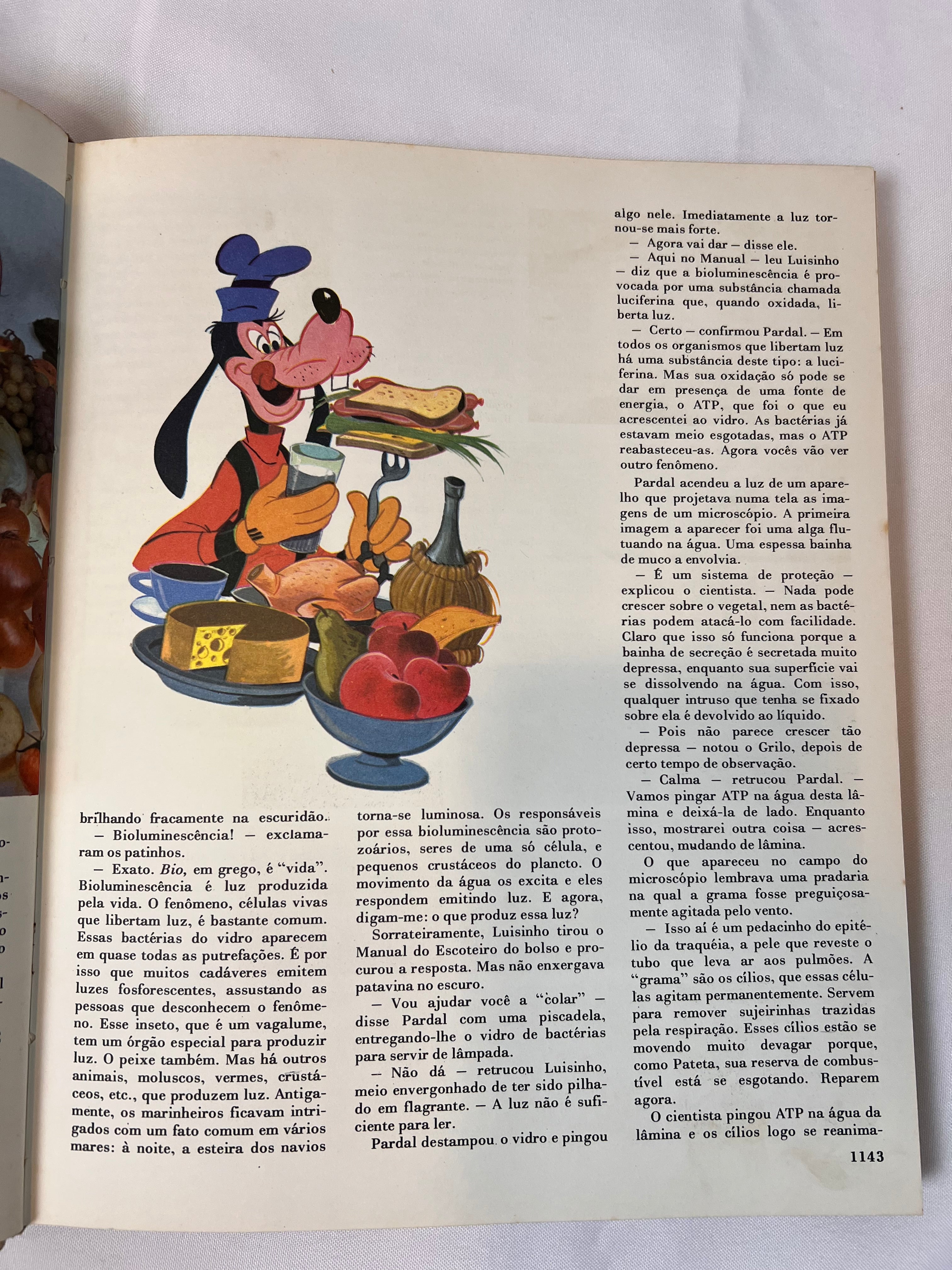 Livro Vintage Enciclopédia Disney 1972 (N6)