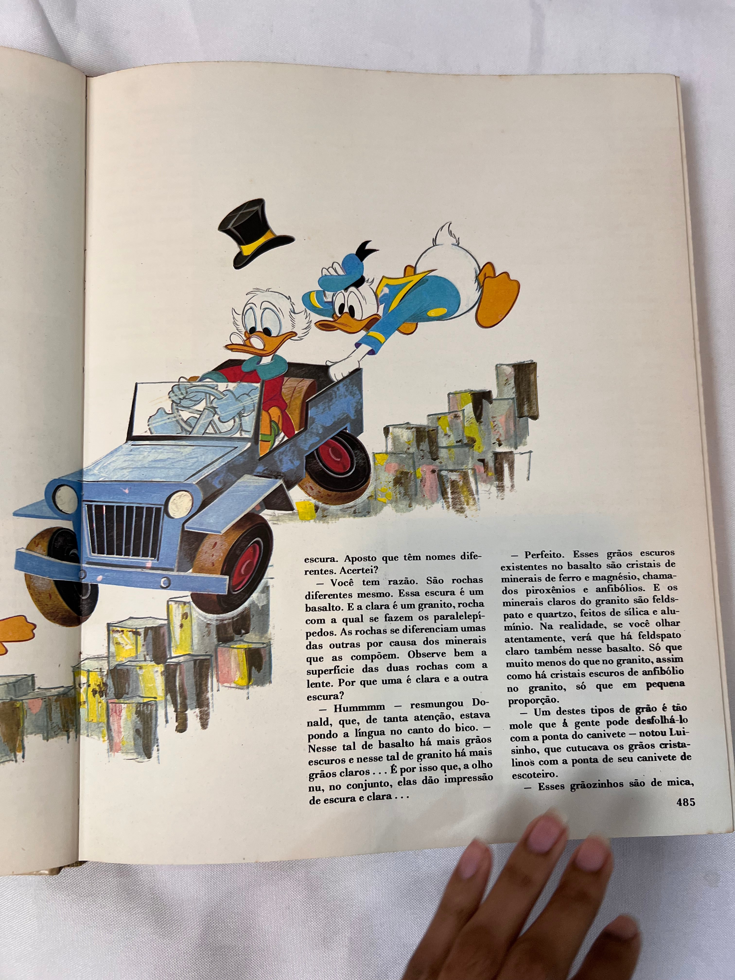 Livro Vintage Enciclopédia Disney 1972 (N3)