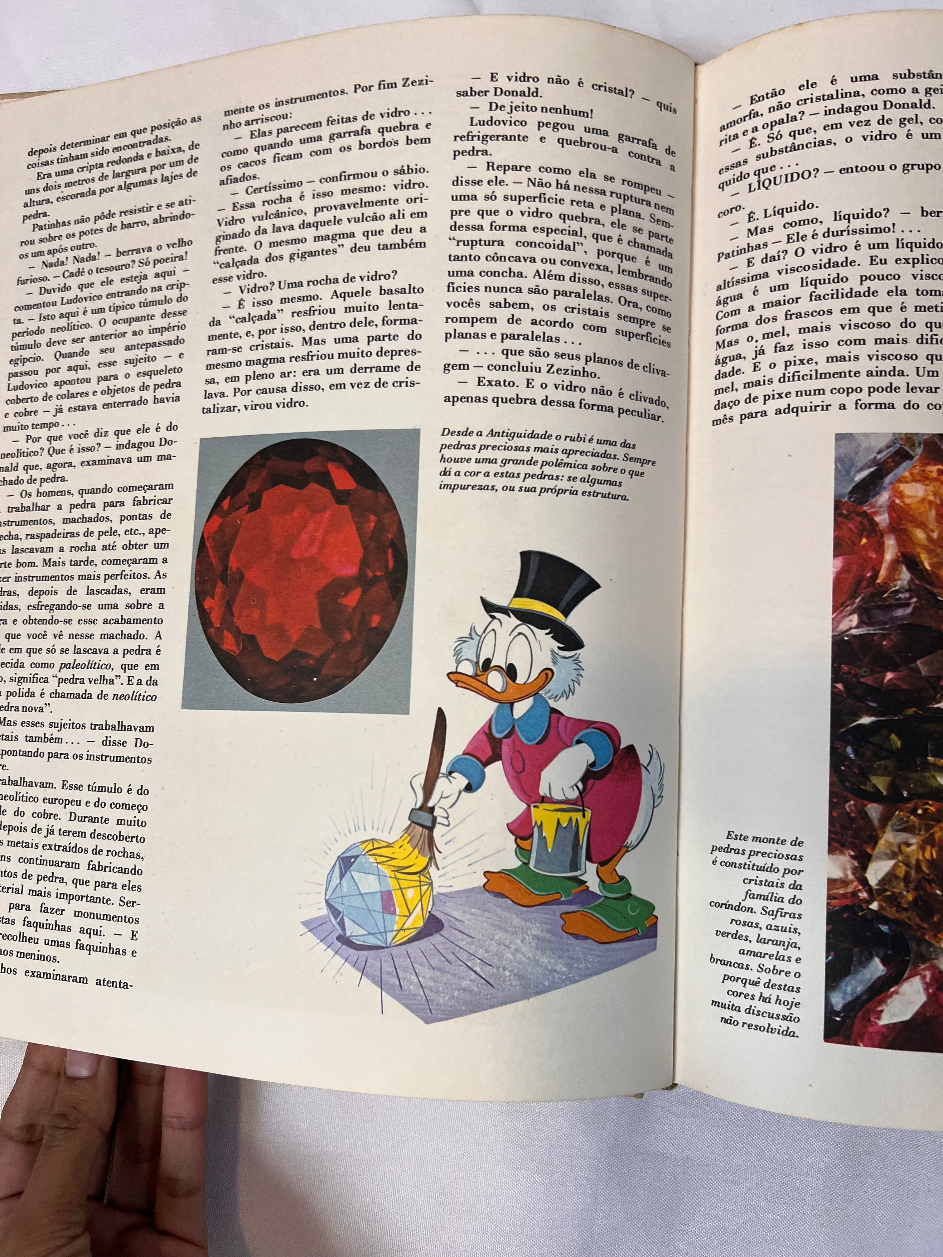 Livro Vintage Enciclopédia Disney 1972 (N3)