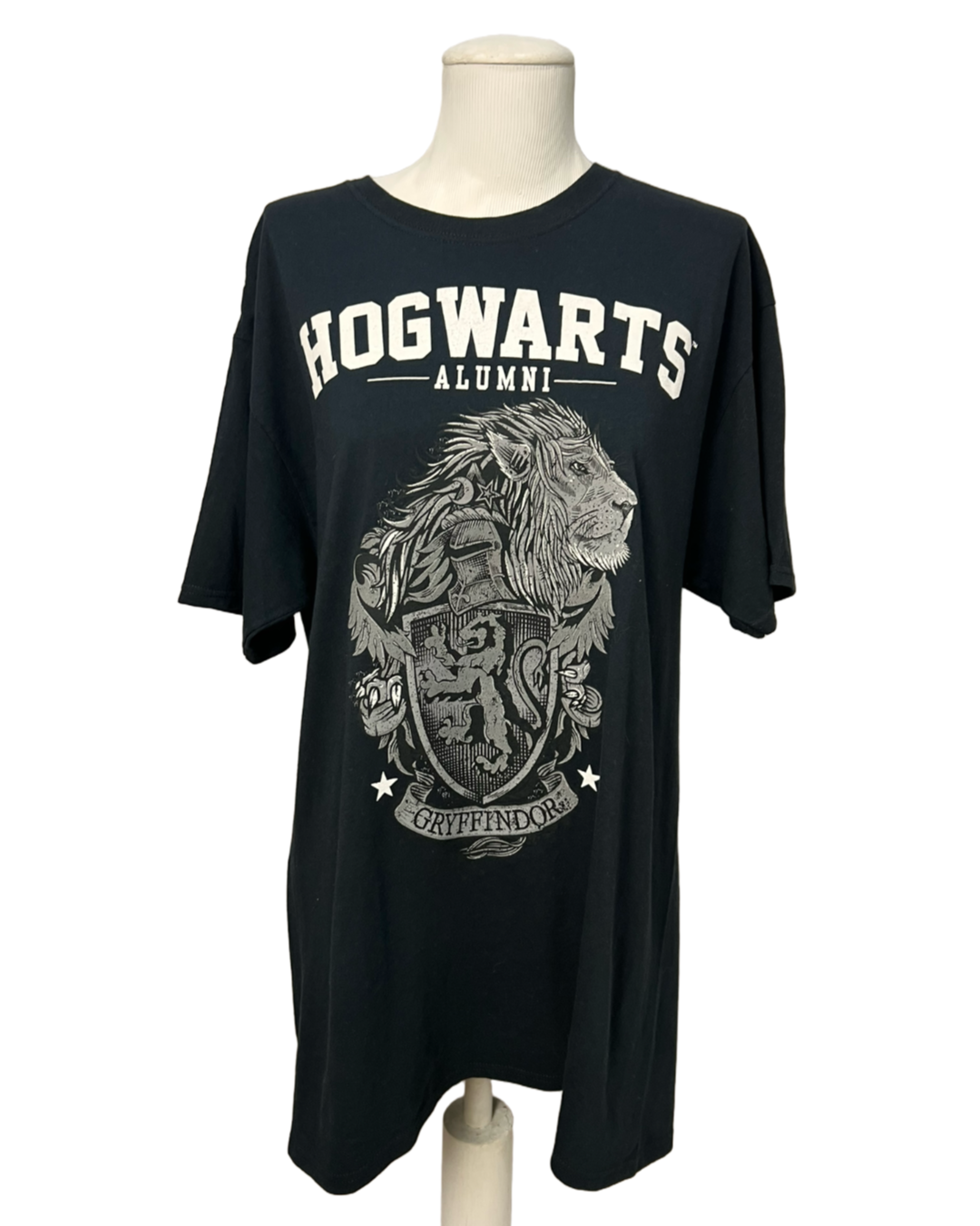 Camiseta Harry Potter  - tam (G)
