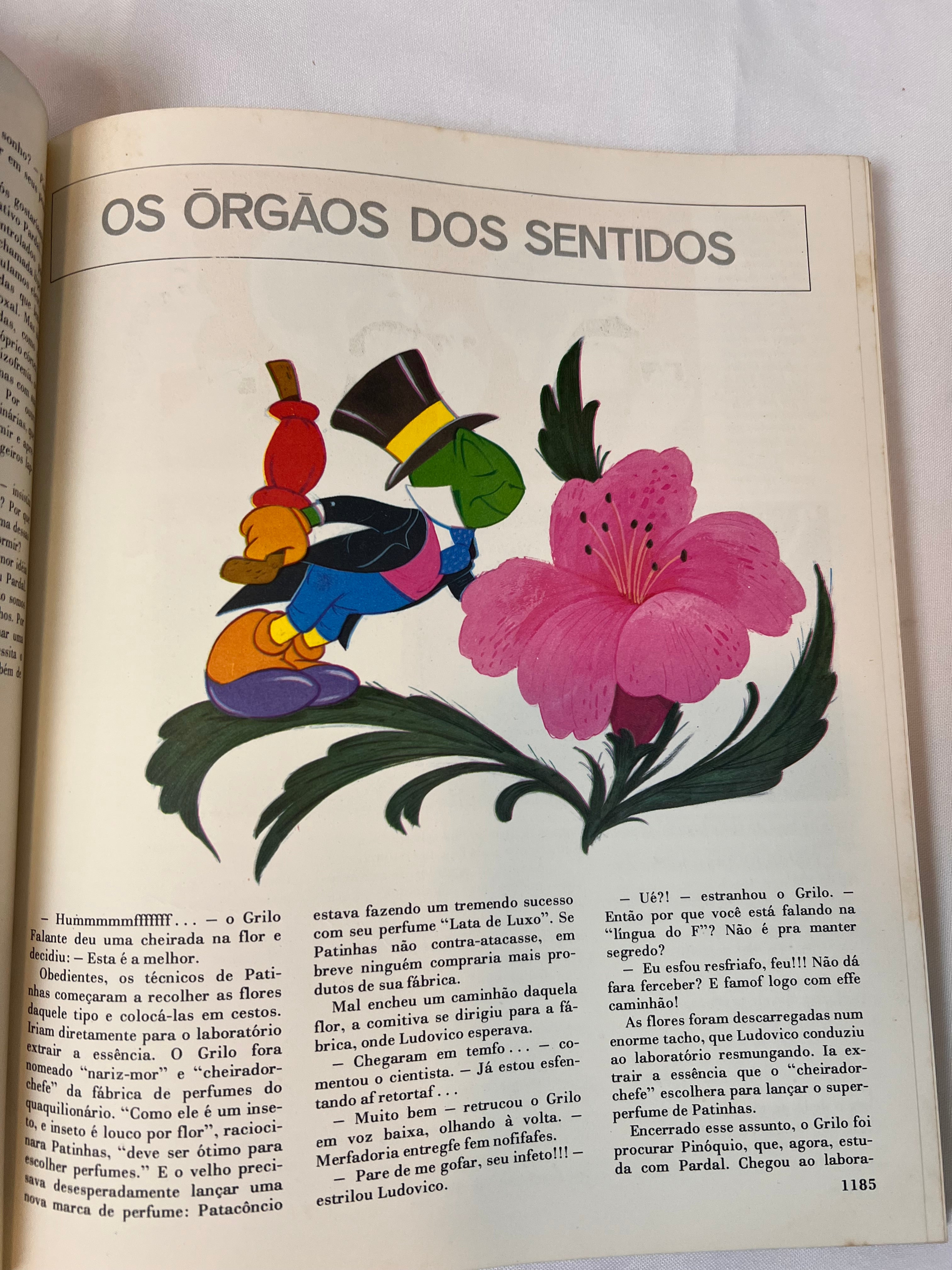 Livro Vintage Enciclopédia Disney 1972 (N6)