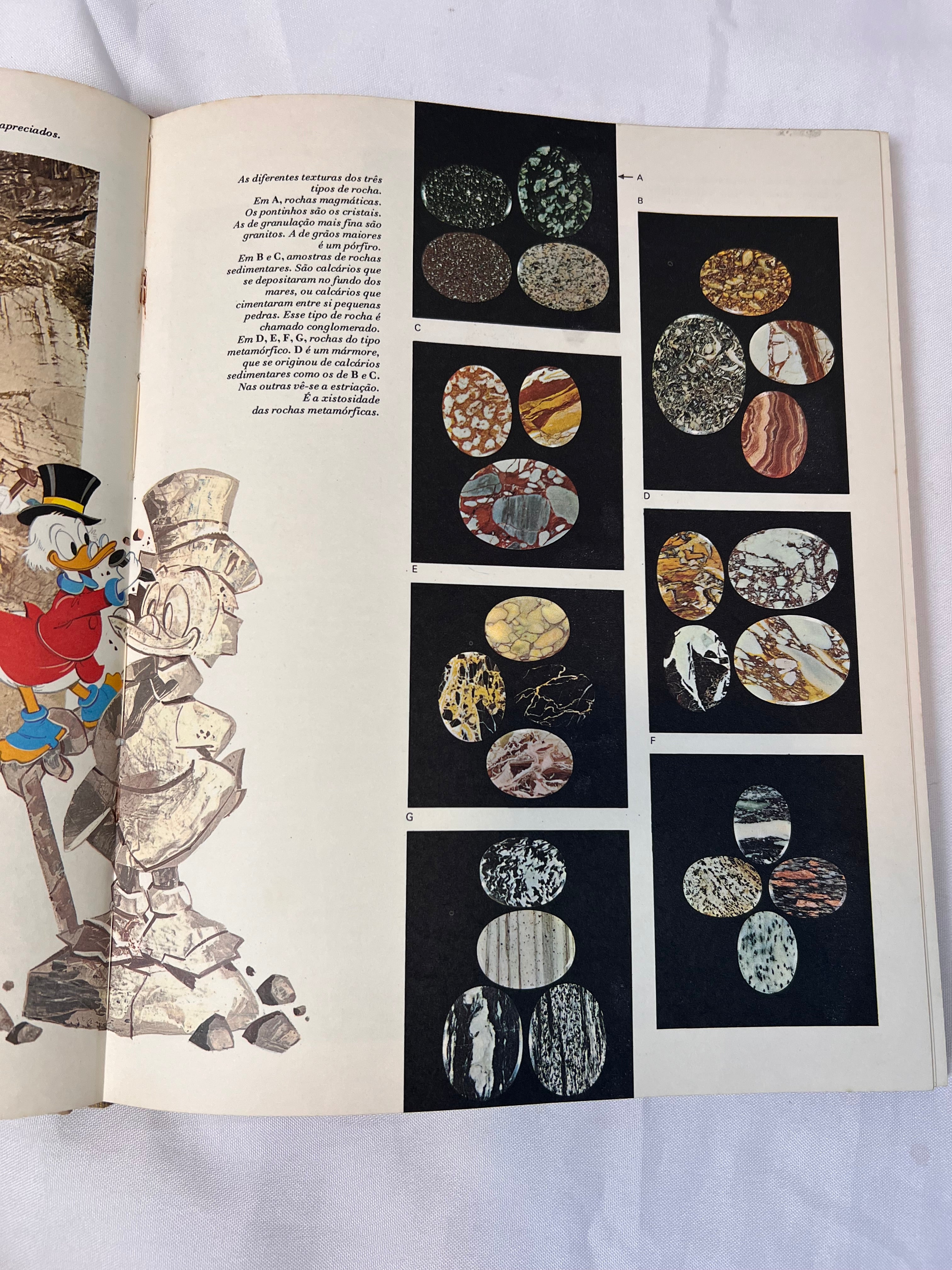 Livro Vintage Enciclopédia Disney 1972 (N3)