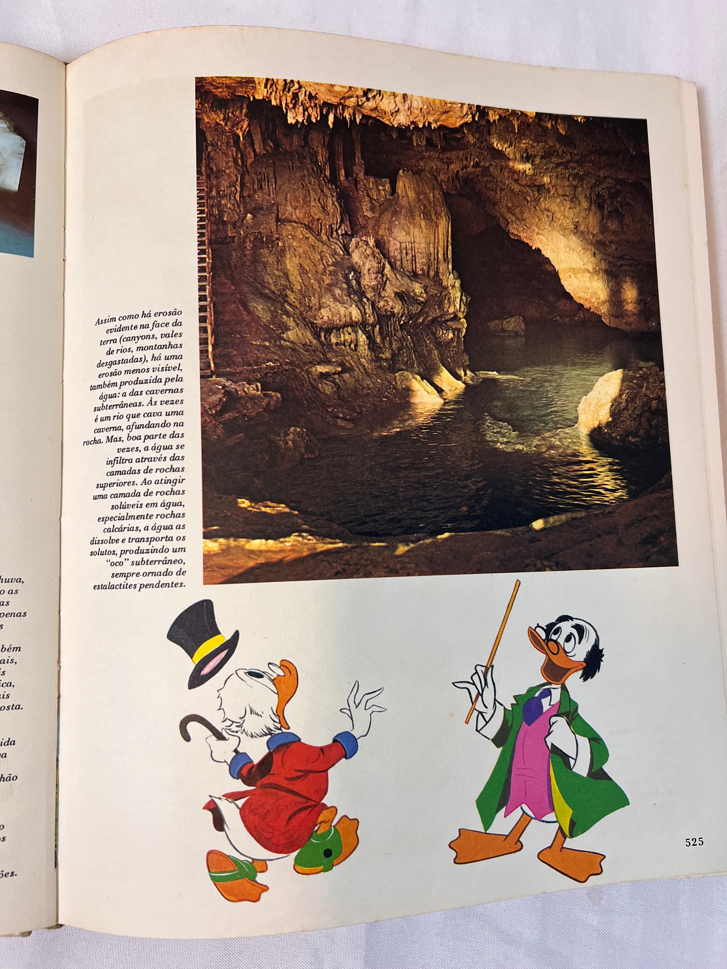 Livro Vintage Enciclopédia Disney 1972 (N3)