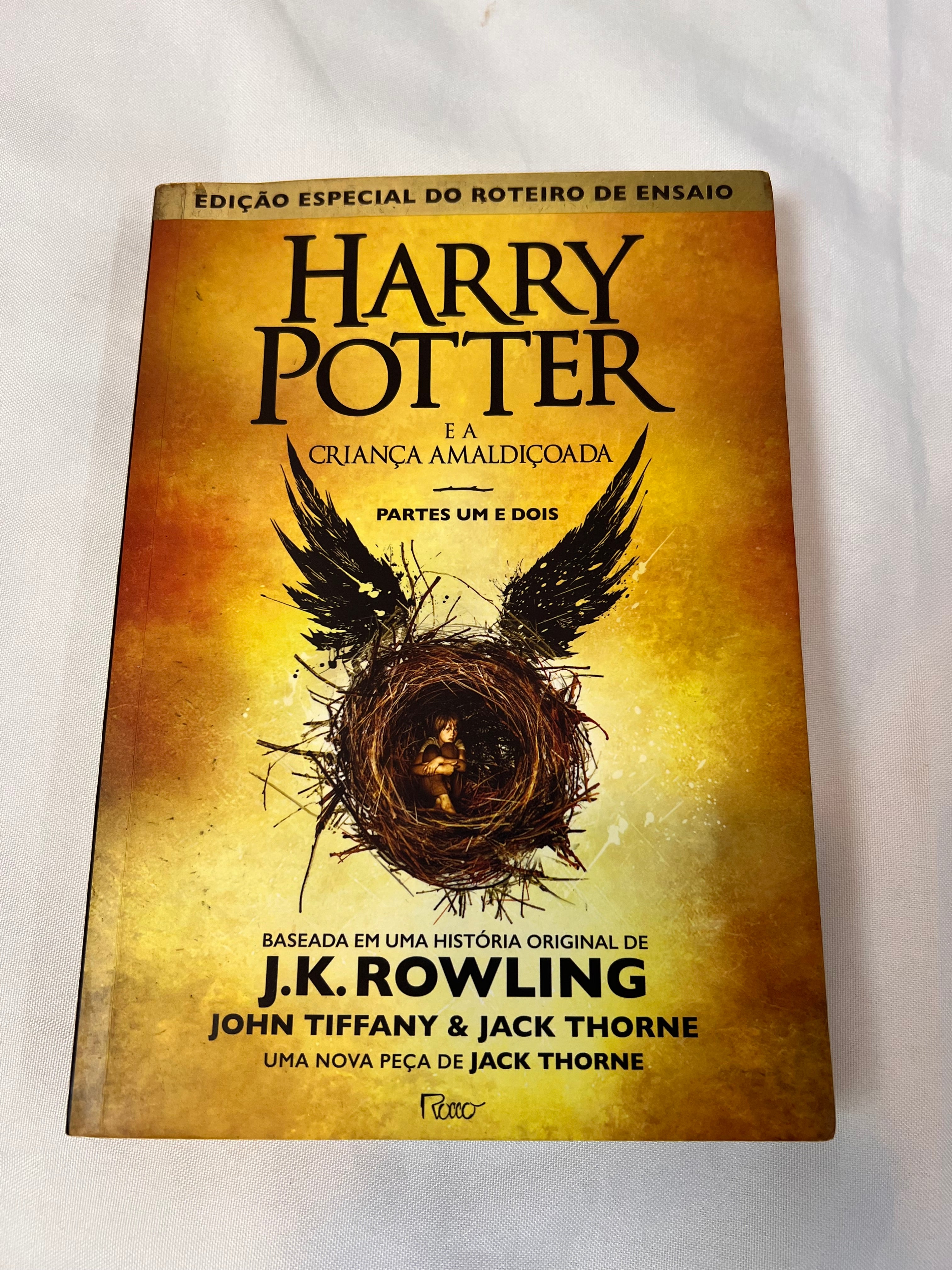 Kit Pantufa N36 + Livro Harry Potter e a Criança Amaldiçoada