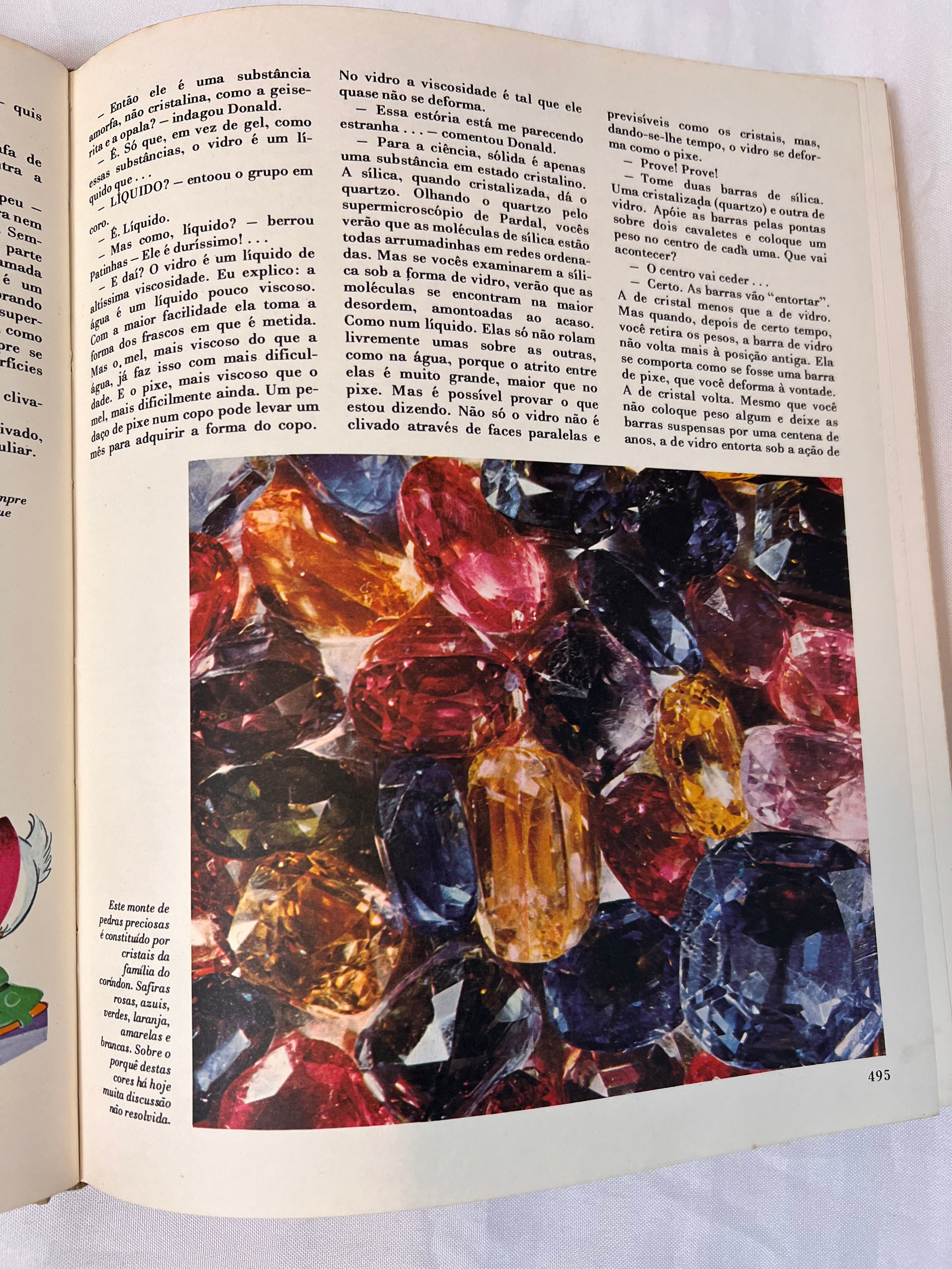 Livro Vintage Enciclopédia Disney 1972 (N3)
