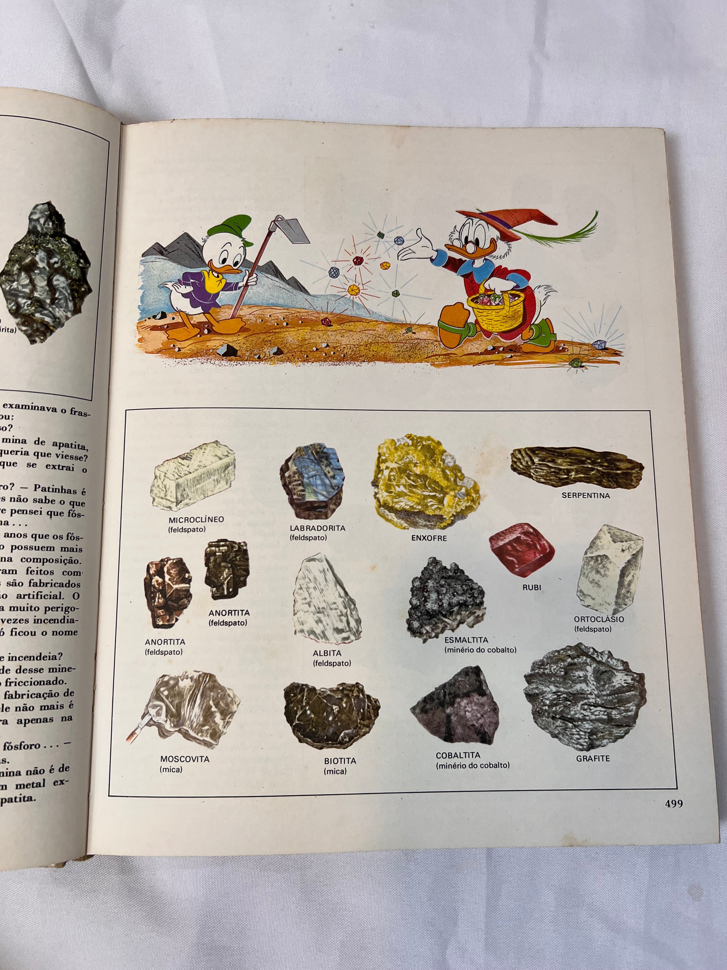 Livro Vintage Enciclopédia Disney 1972 (N3)