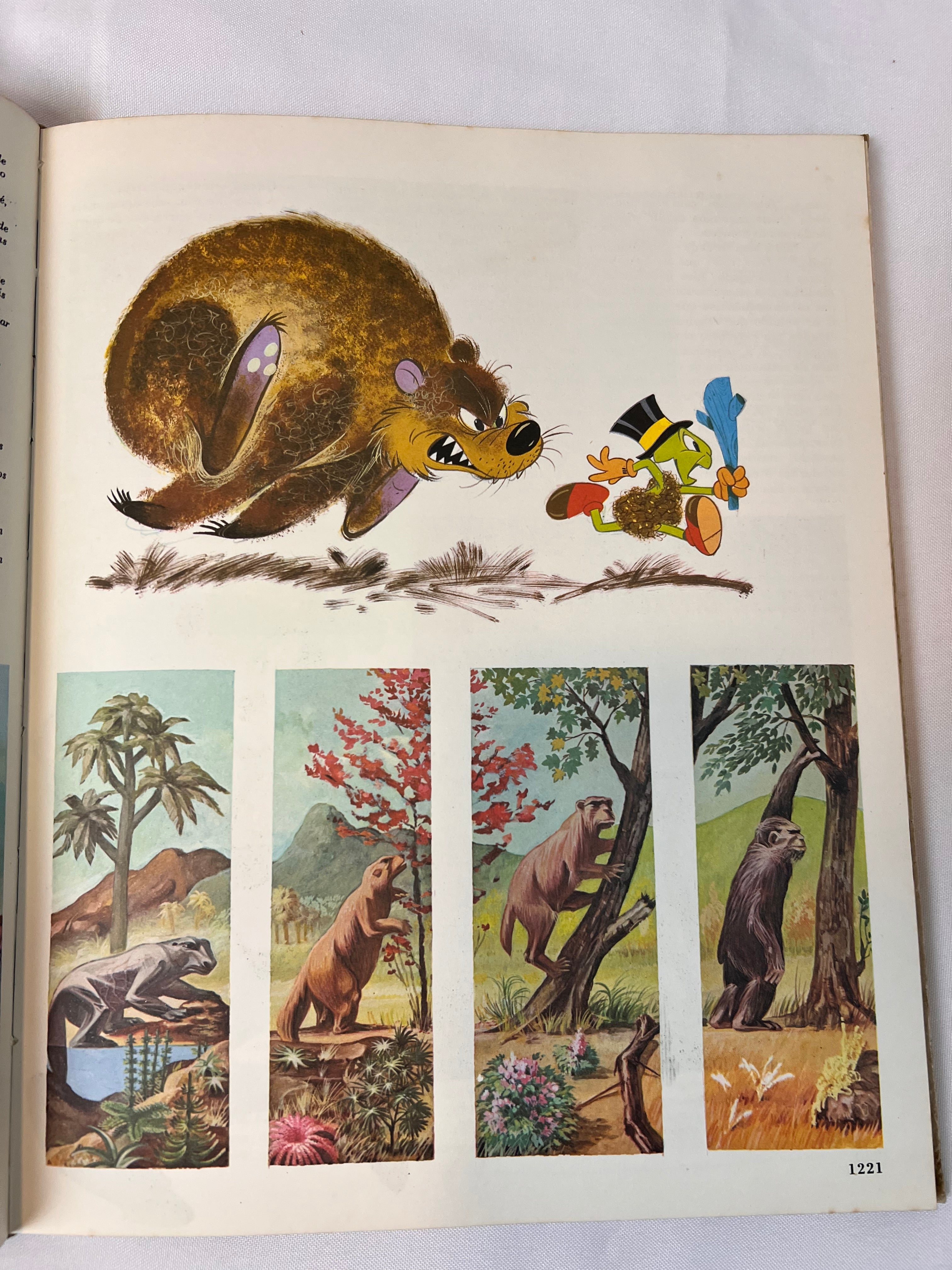 Livro Vintage Enciclopédia Disney 1972 (N6)