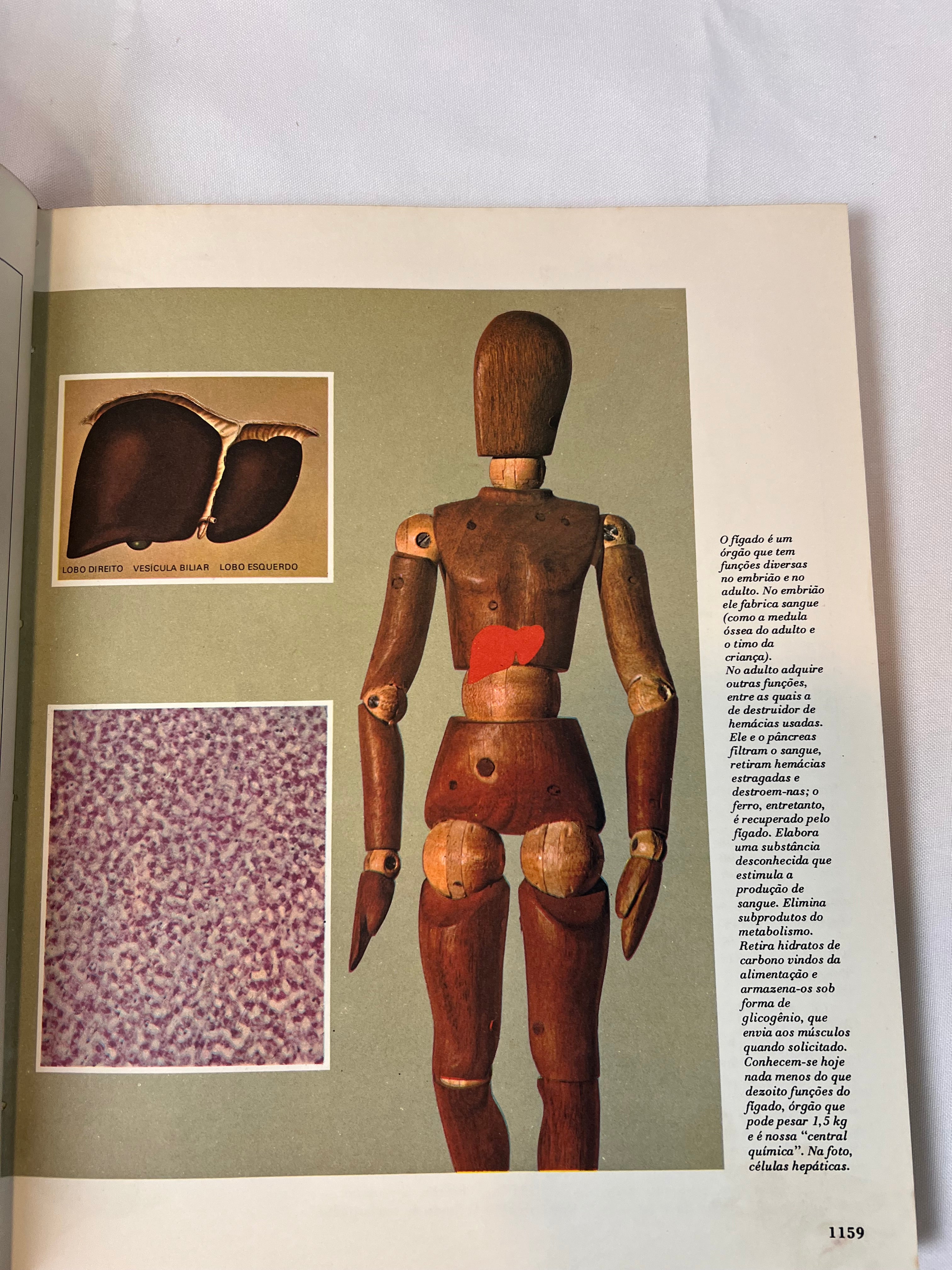 Livro Vintage Enciclopédia Disney 1972 (N6)